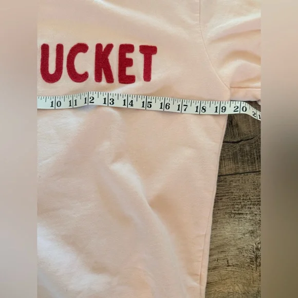 J. Crew Crew Nantucket Crewneck Sweatshirt Small Blush Pink - Picture 5 of 7